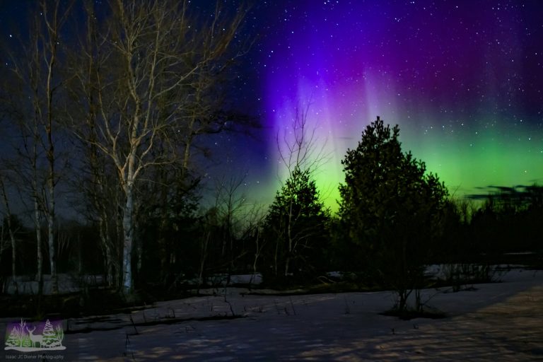 Auroras Boreales en Michigan