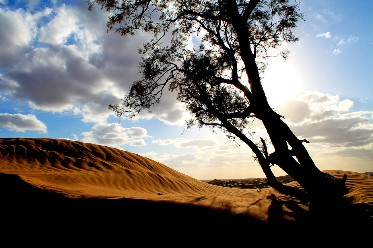 Desierto Sahara