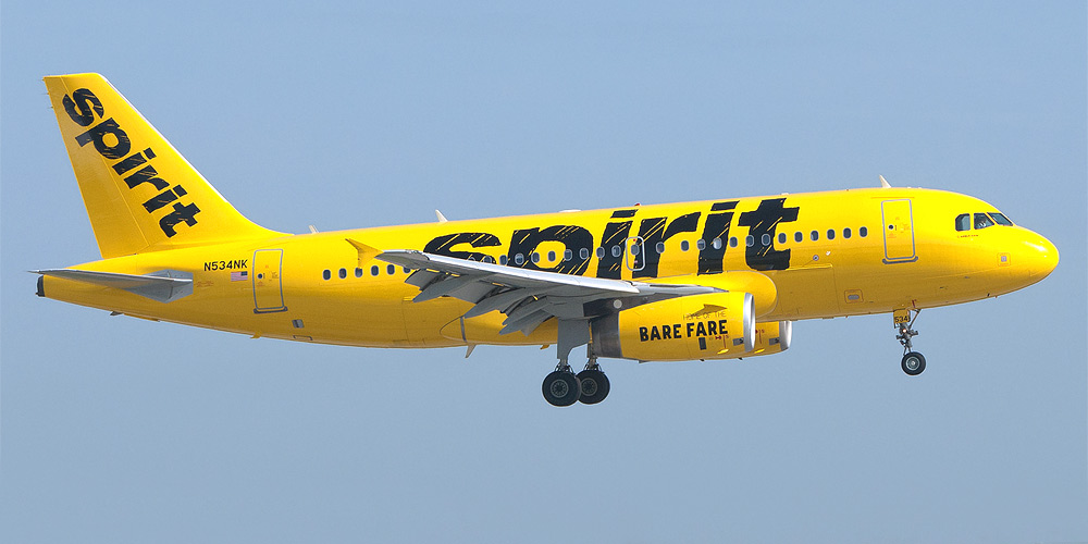Spirit Airlines deniega el embarque a una pasajera con su hámster