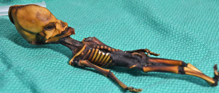 Científicos resuelven el misterio de la momia "extraterrestre" encontrada en Chile