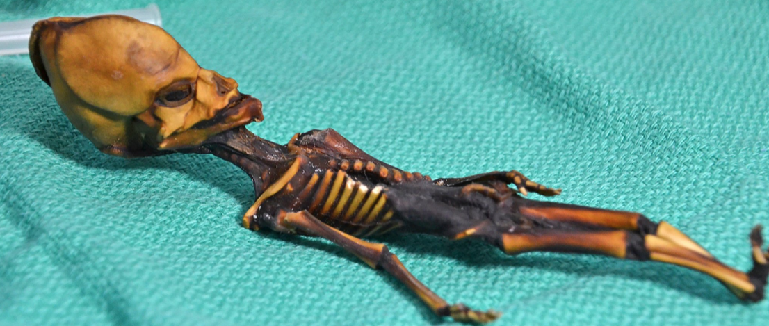Científicos resuelven el misterio de la momia "extraterrestre" encontrada en Chile