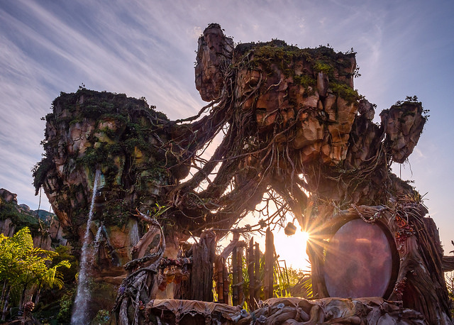 ¡Gánate una noche en el parque temático Pandora de Disney World!