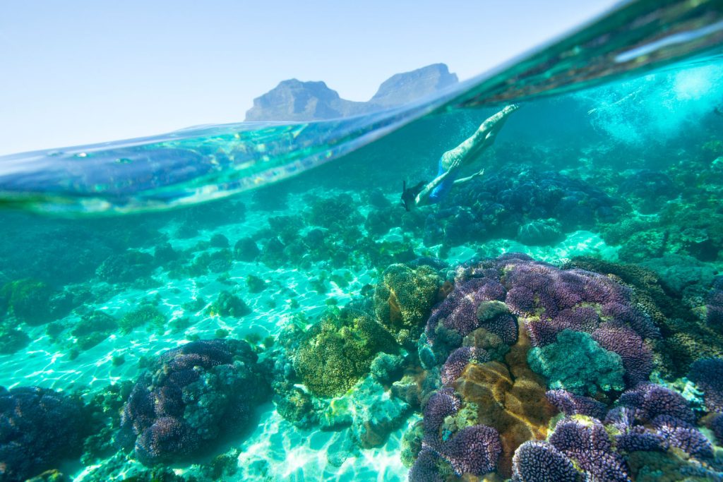 Activities on Lord Howe Island. Photo from the official Lord Howe Island website.