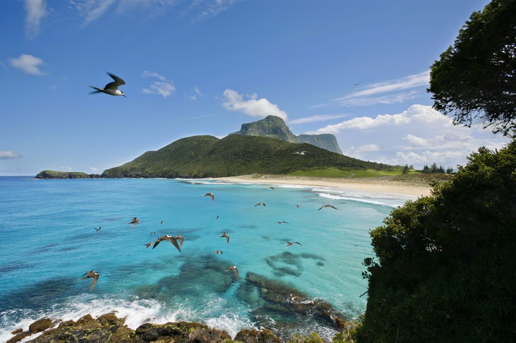 Beaches of Lord Howe Island. Photo from the official Lord Howe Island website.